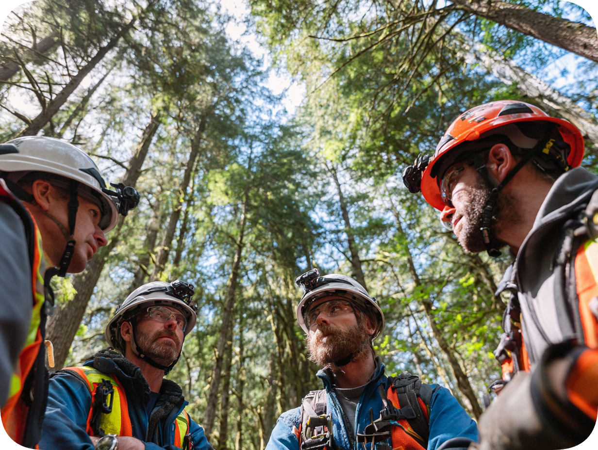 Licensed professionals